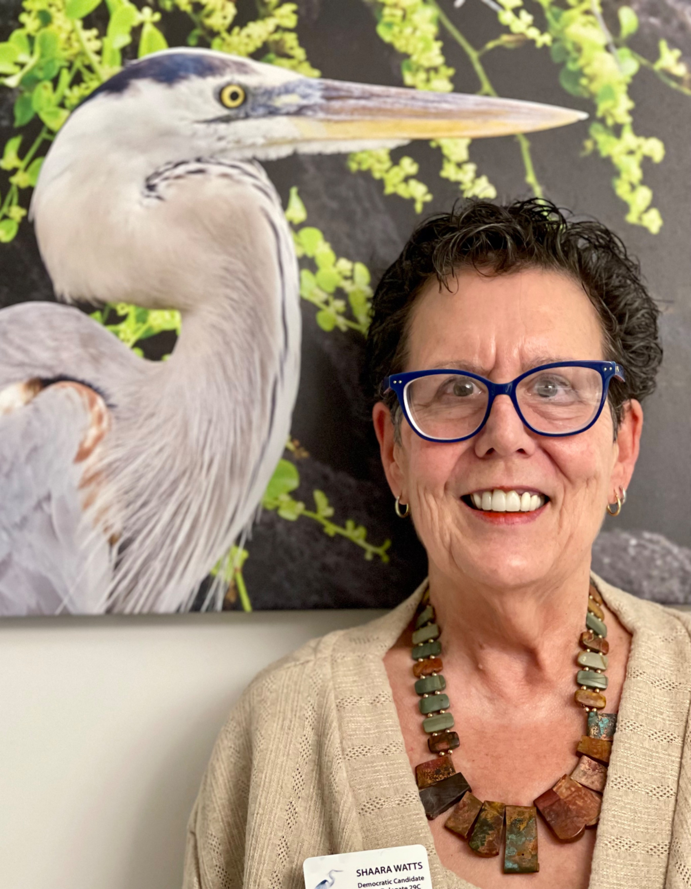 female politician portrait usa flag